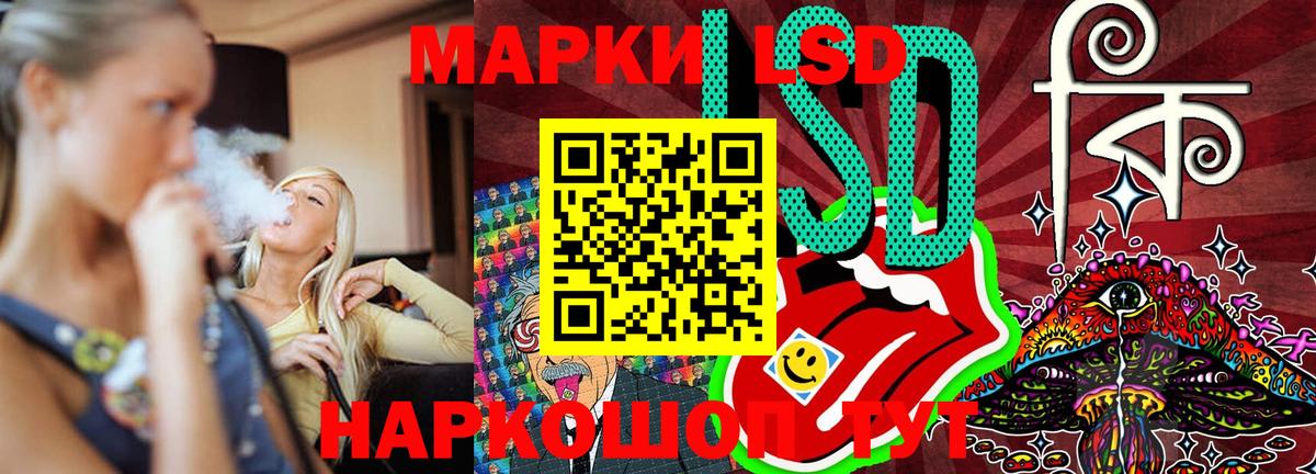 APVP Краснодар